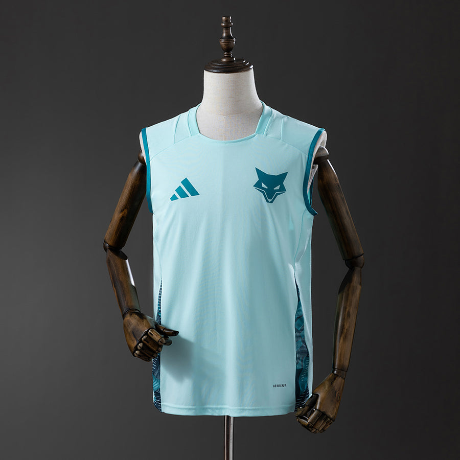 Cruzeiro uniform Colete Treino 25/26