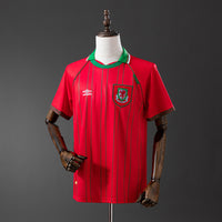Wales Principal Retrô Camisa 1996
