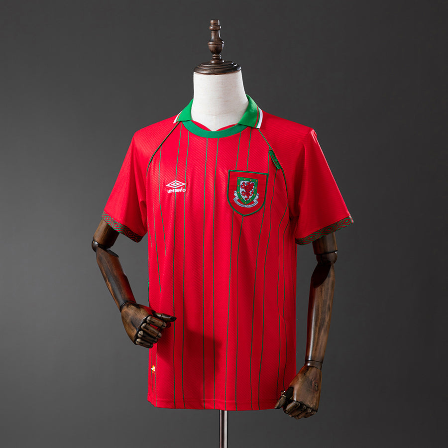Wales Principal Retrô Camisa 1996