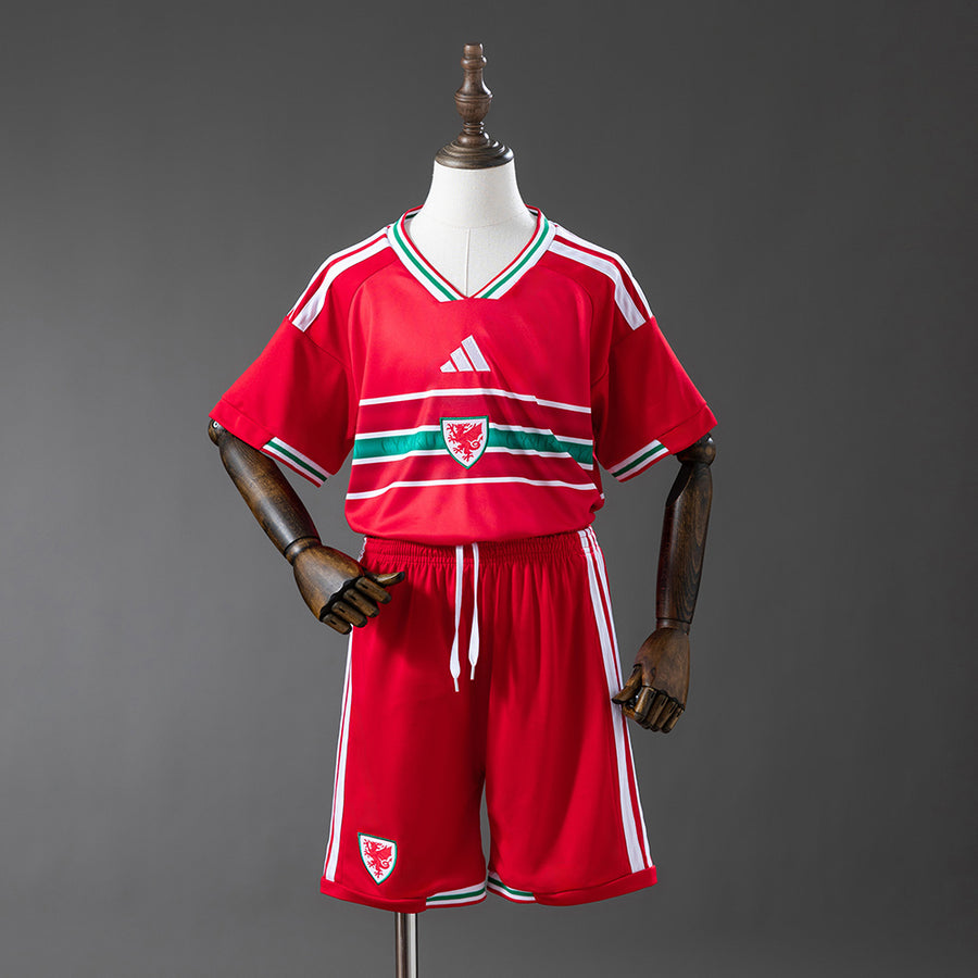Wales Principal Infantil Kit Camisa 2028