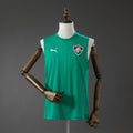 Fluminense Verde Colete Treino 26/27