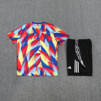 Conjunto Social 226 novos tamanhos de traje Arsenal , , , , Treino
