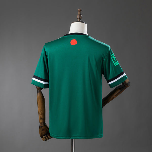 Schalke 04 Edição - Verde Comemoração Camisa 25/26