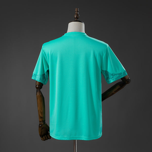 Palmeiras Treino Camisa 26/27