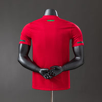 Portugal Principal Retrô Versão Jogador Camisa 2010