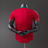 Portugal Principal Retrô Versão Jogador Camisa 2012