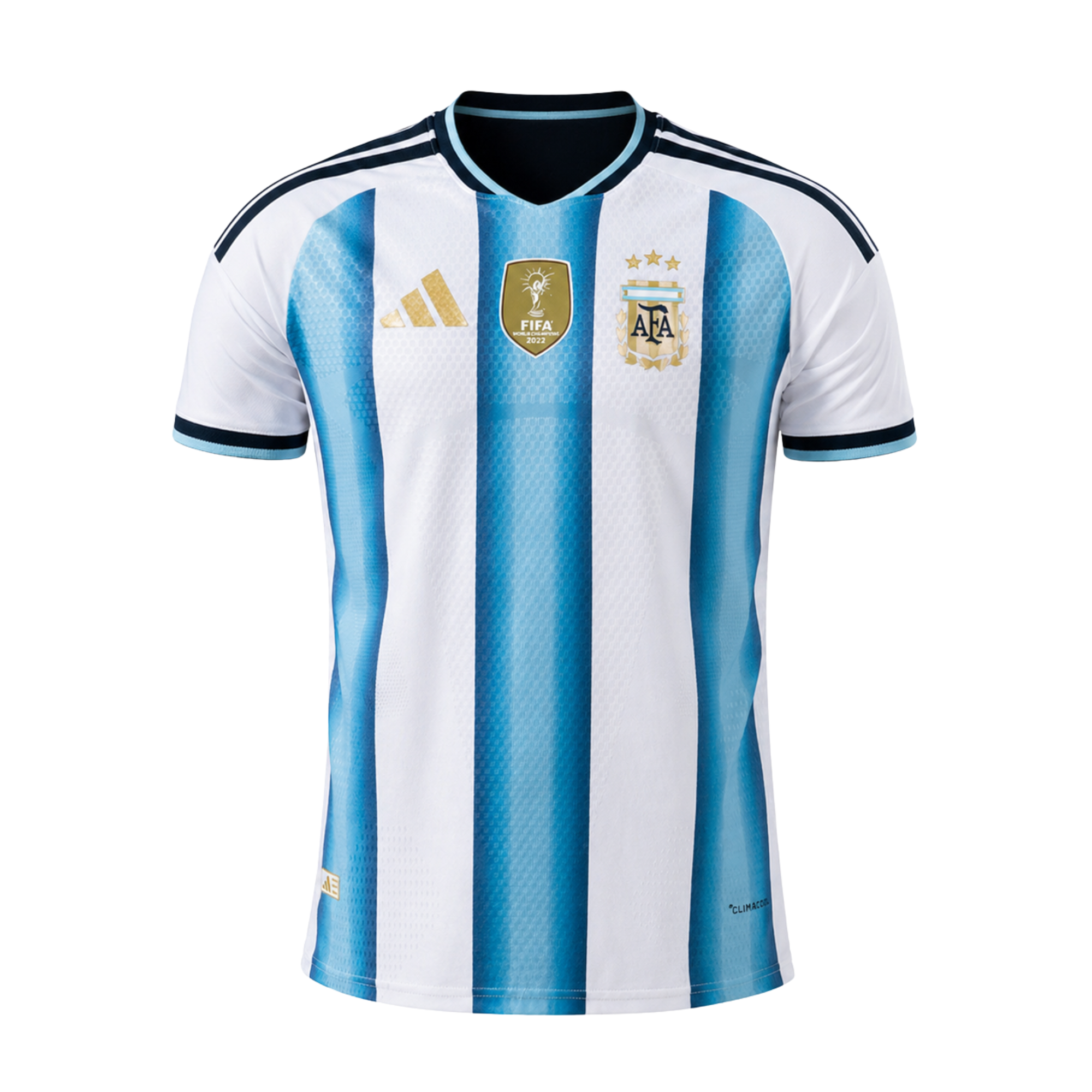 Argentina Principal Copa 2026