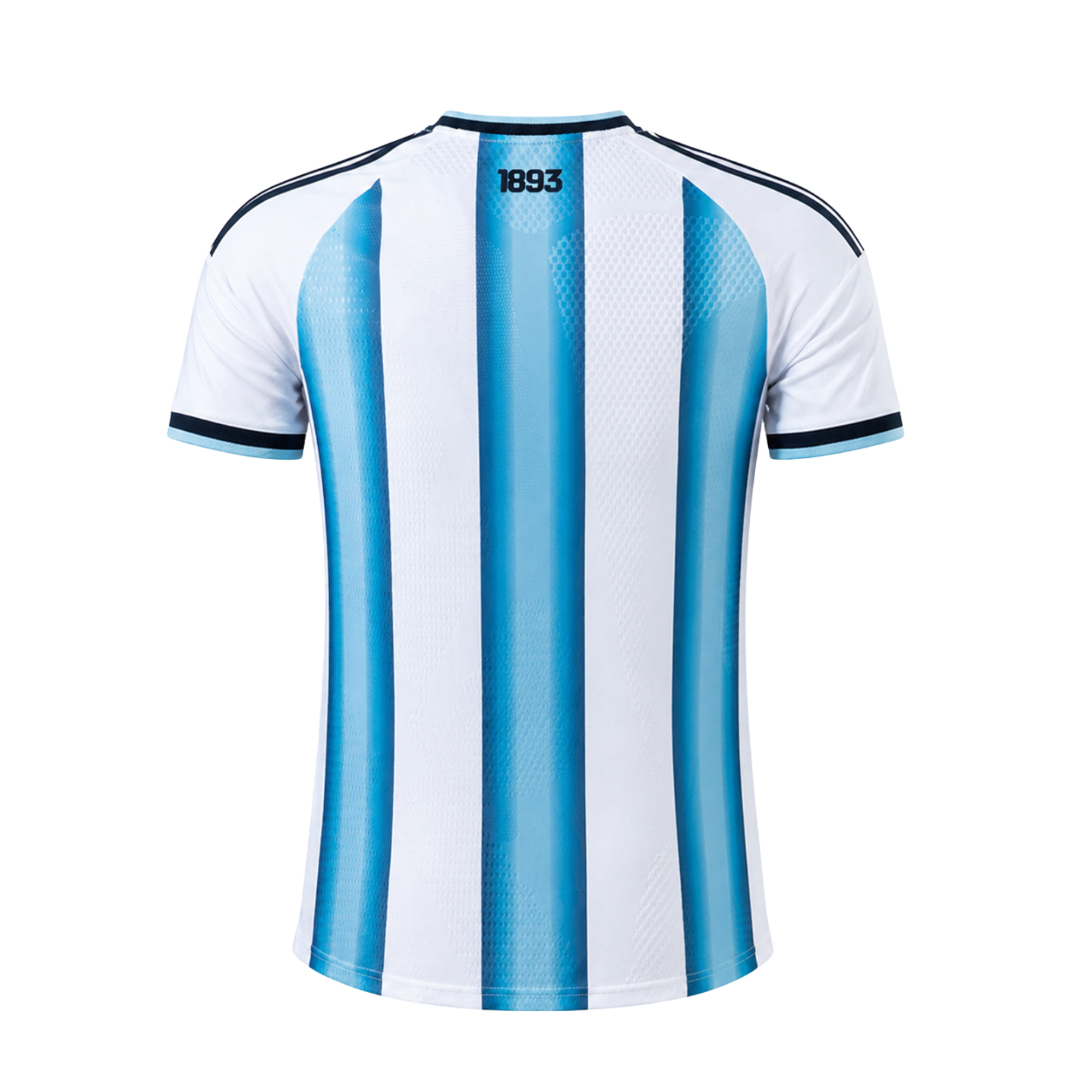 Argentina Principal Copa 2026